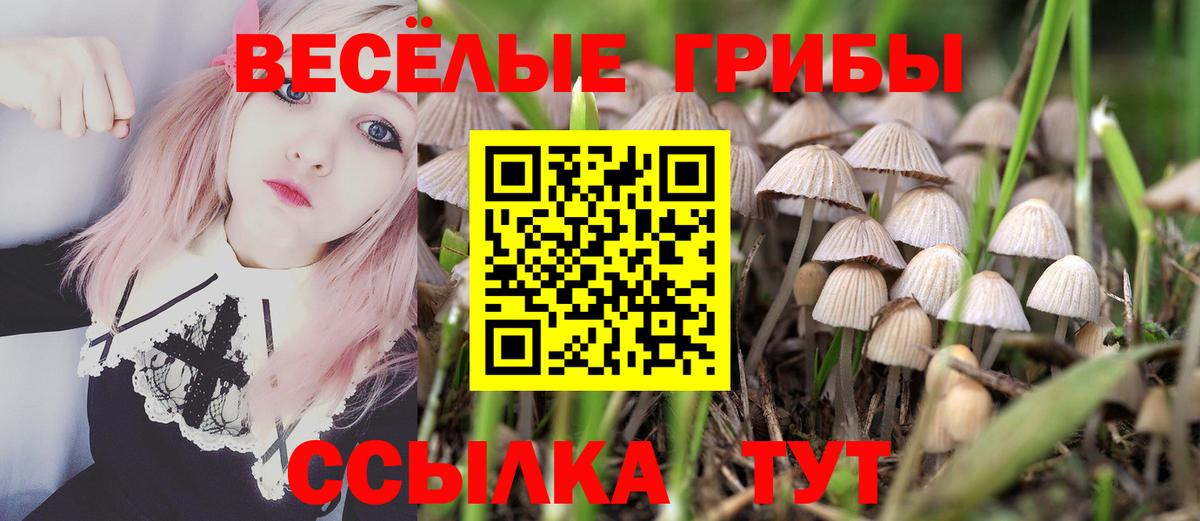 Галлюциногенные грибы Psilocybine cubensis Октябрьский